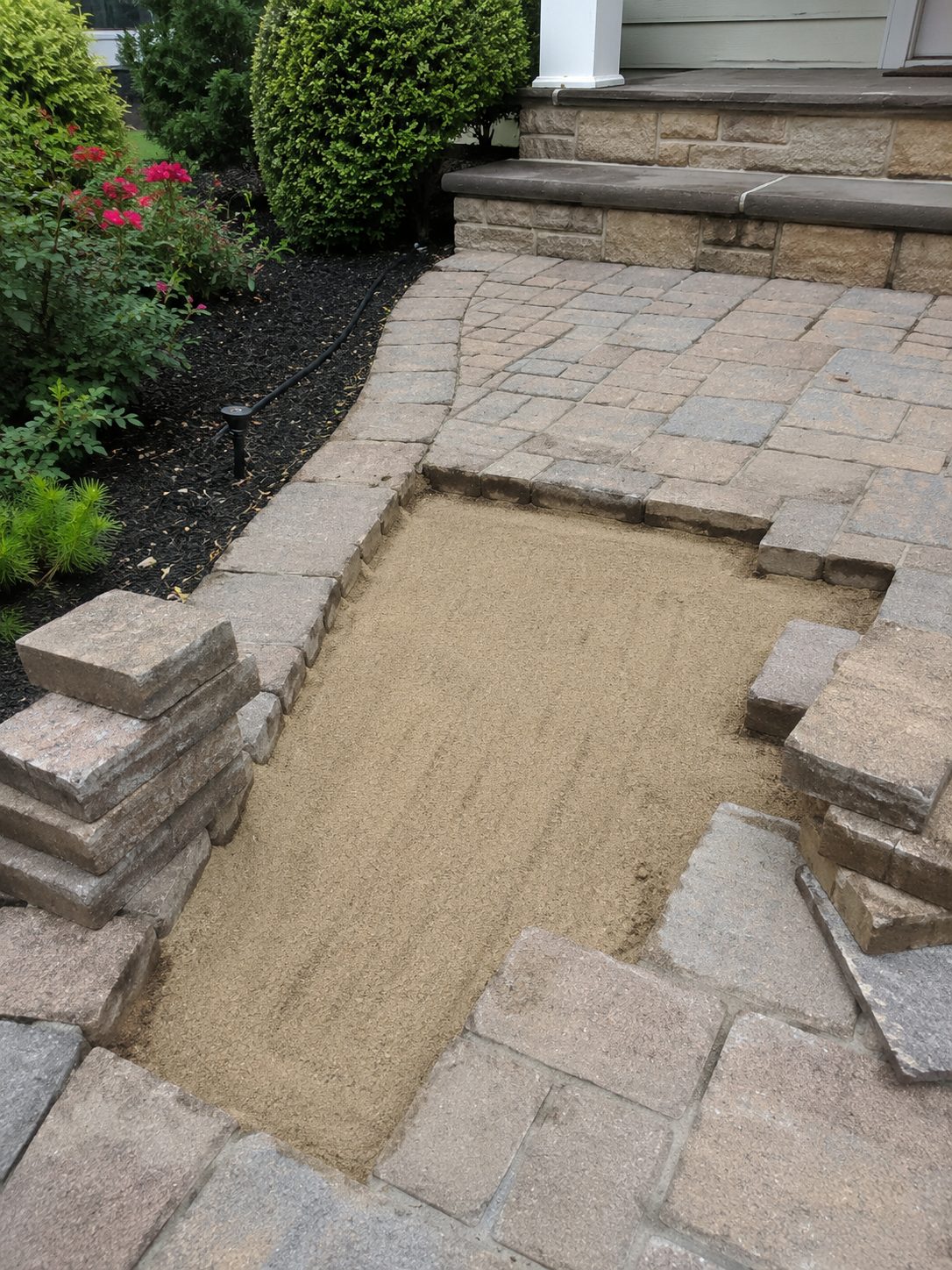 Fresh Bedding Sand